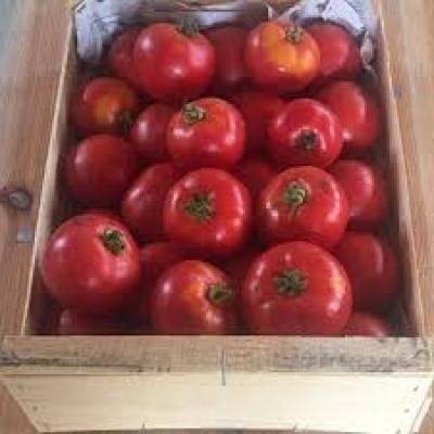 caisse de tomate
